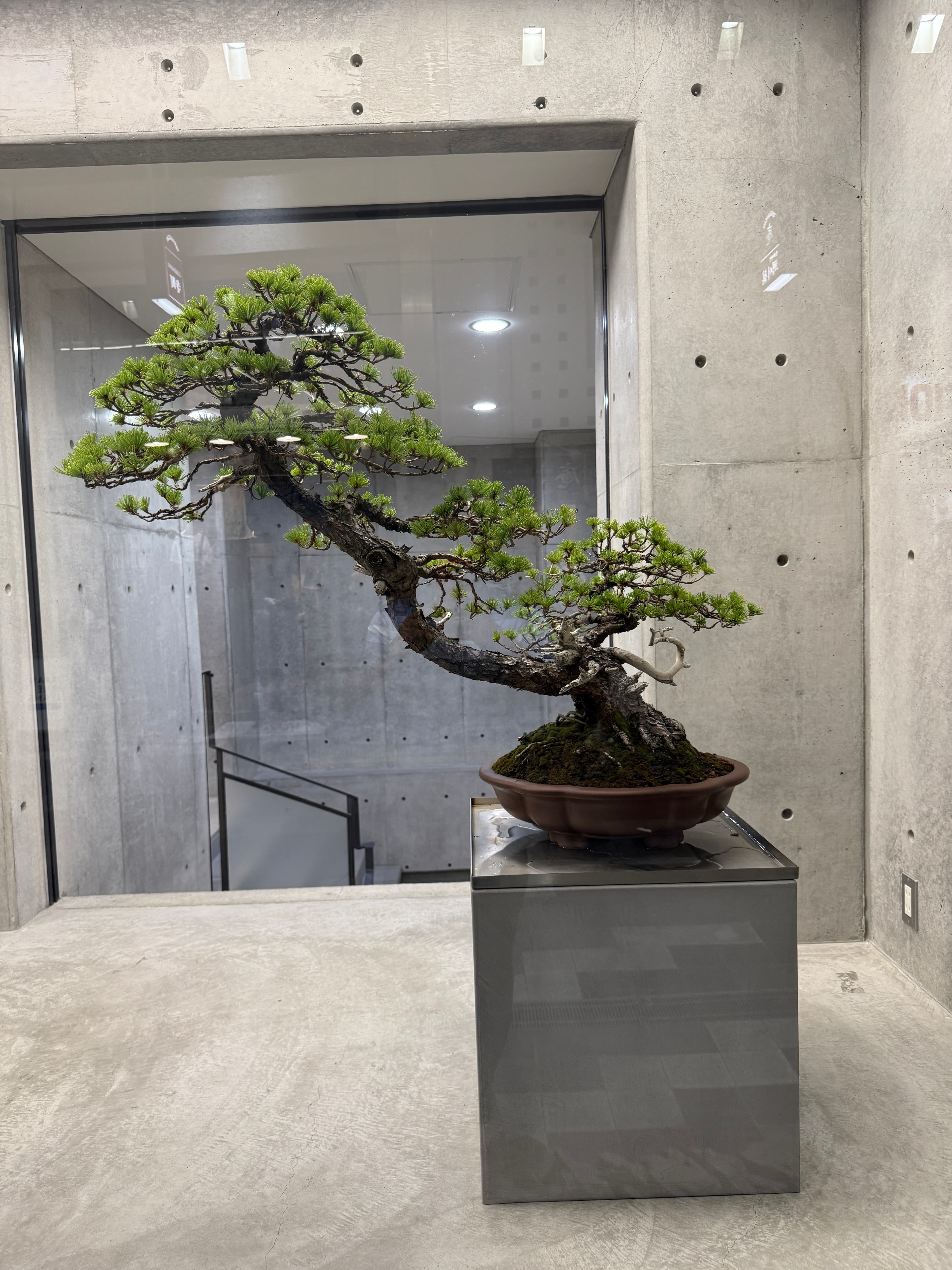 Natural stone water feature in a remote Japanese countryside